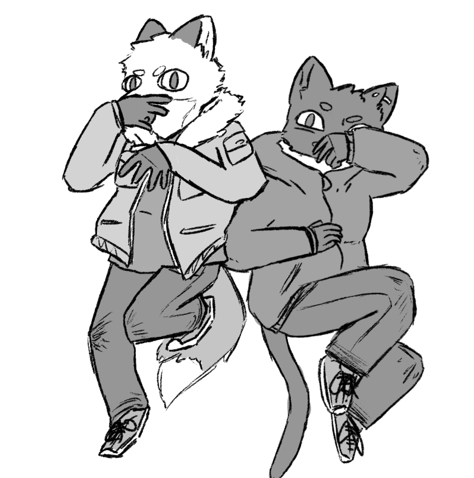 complete idiots